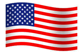 Picture of USA flag for Immigration consultants in Hyderabad
